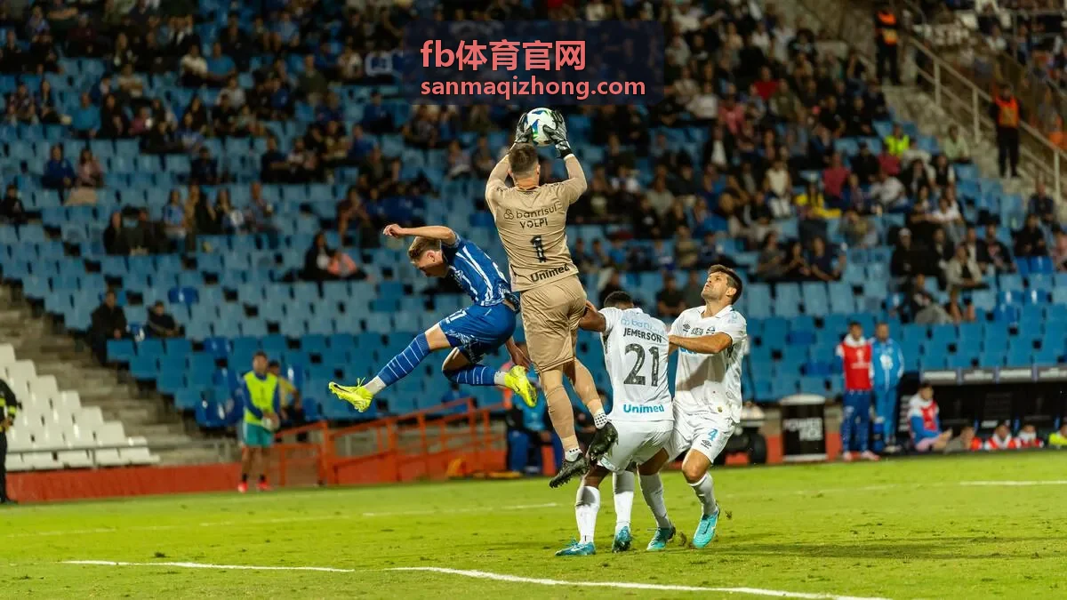 fb体育官网开通咨询背景图片